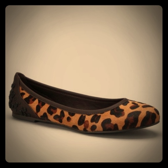 Calvin Klein Jean's Leopard Print Haircalf Robin Ballet Flats. - Picture 1 of 6
